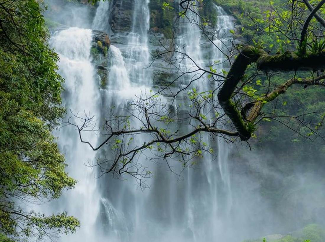 Rainforest waterfall